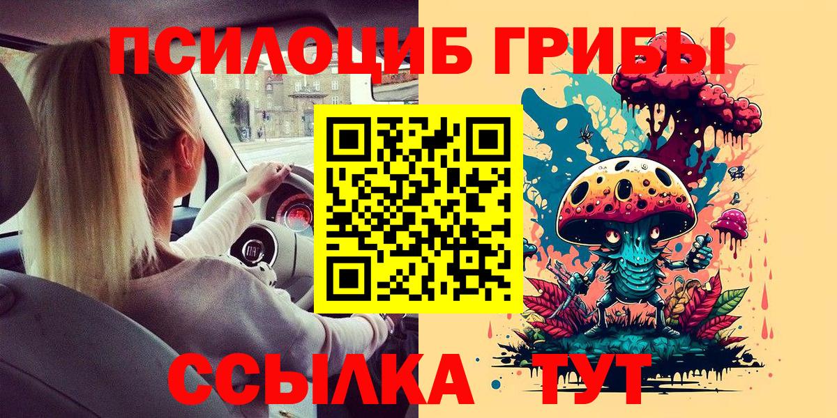 Галлюциногенные грибы Cubensis Кубинка
